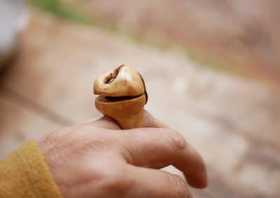 Baumperlen Ring Ringdose zum Öffnen