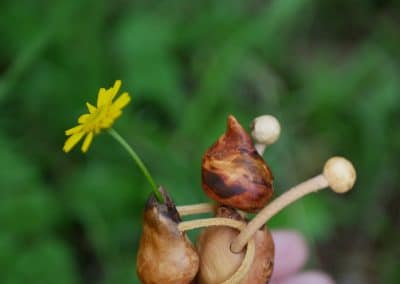 Kleine Figur aus Baumperle