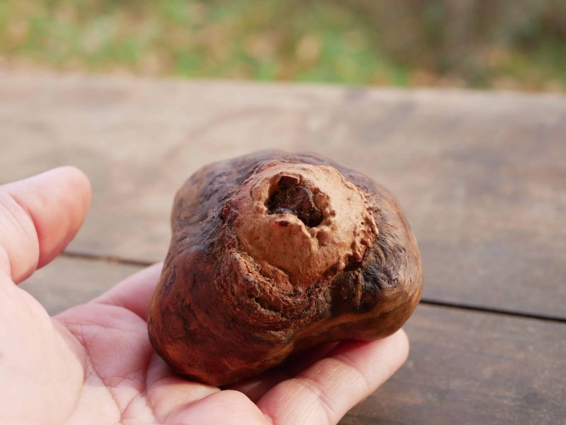 Ocarina aus Baumperle