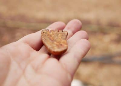 Fuß Handschmeichler Baumperle