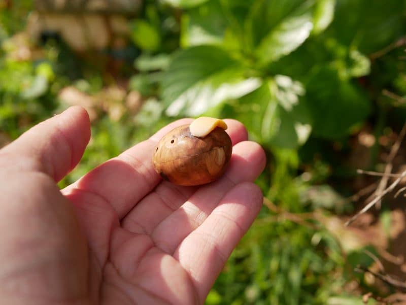 Ocarina aus Baumperle