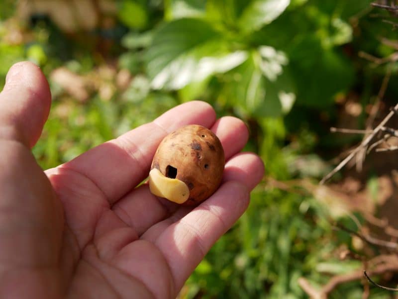 Ocarina aus Baumperle