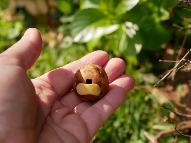 Ocarina aus Baumperle