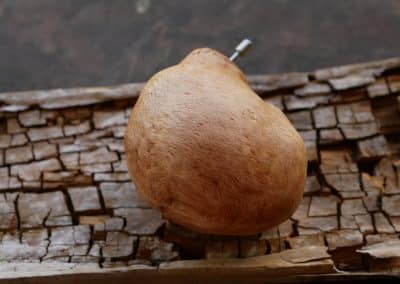 Spieluhr aus Baumperle