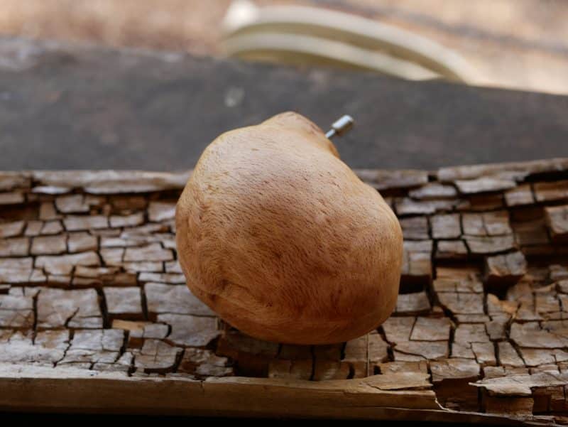 Spieluhr aus Baumperle