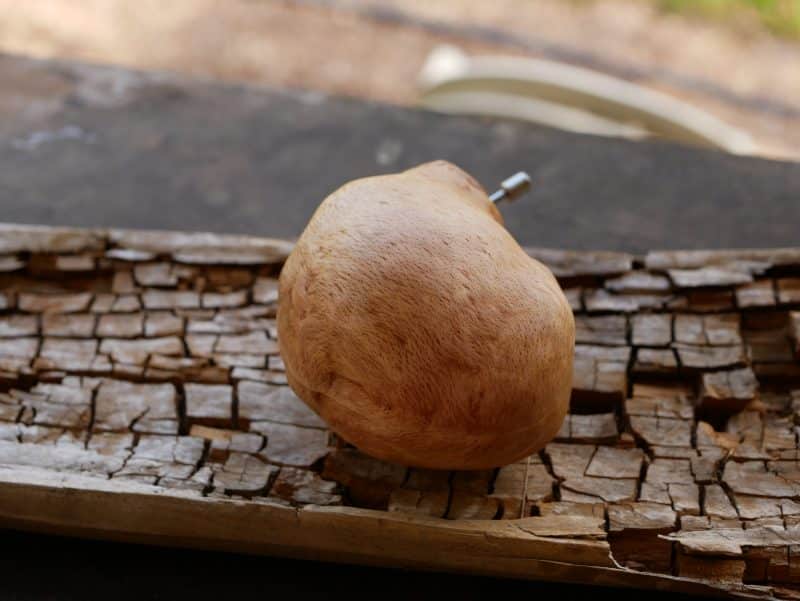 Spieluhr aus Baumperle