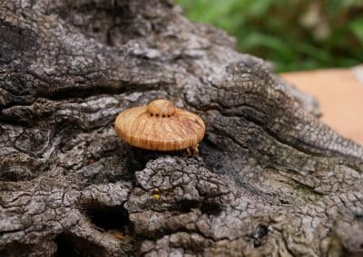 Handschmeichler Ufo aus Baumperle
