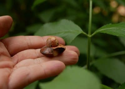 Handschmeichler Ufo aus Baumperle