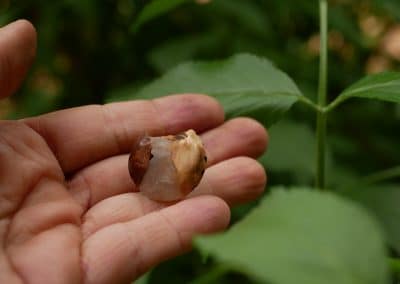 Handschmeichler Ufo aus Baumperle