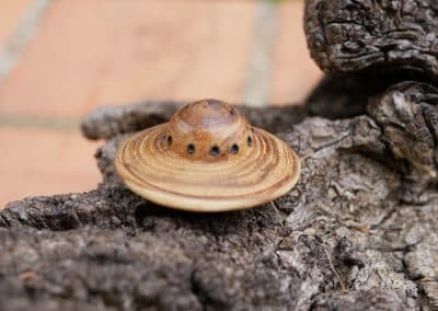 Handschmeichler Ufo aus Baumperle