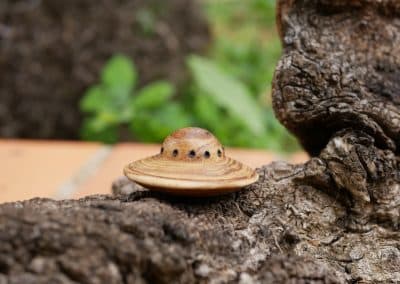 Handschmeichler Ufo aus Baumperle