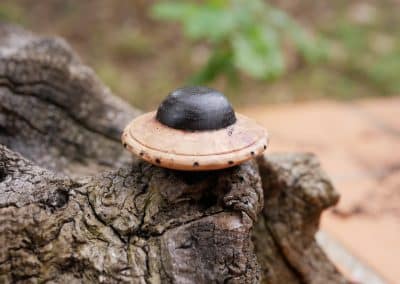 Handschmeichler Ufo aus Baumperle