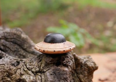 Handschmeichler Ufo aus Baumperle