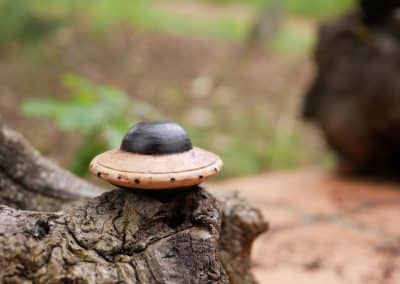 Handschmeichler Ufo aus Baumperle