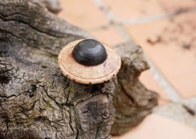 Handschmeichler Ufo aus Baumperle
