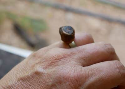 Ring Baumperle