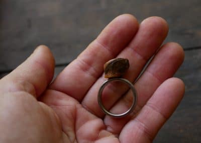Ring Baumperle