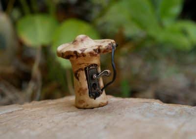 Pilz Schloss aus Baumperle