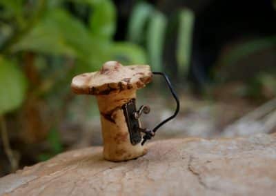 Pilz Schloss aus Baumperle