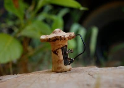 Pilz Schloss aus Baumperle