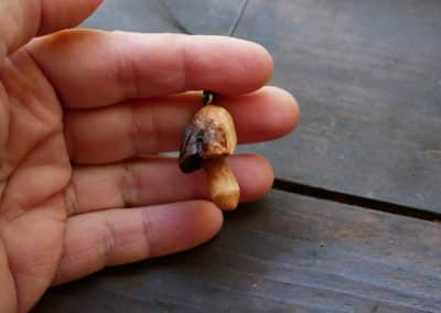 Pilz aus Baumperlen geschnitzt als Kette