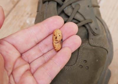Schuhwichtel aus Baumperlen geschnitzt