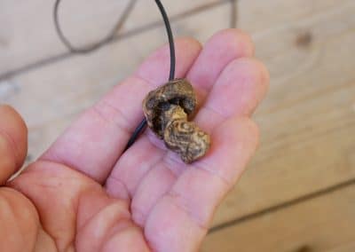 Pilz aus Baumperle