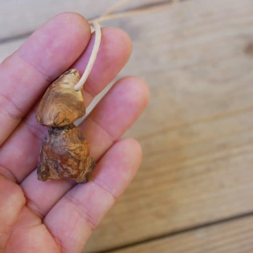 Pilz aus Baumperle