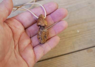 Pilz aus Baumperle
