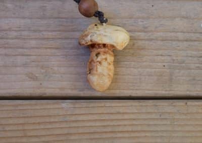 Pilz aus Baumperle