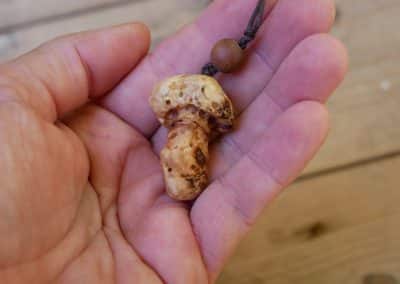 Pilz aus Baumperle