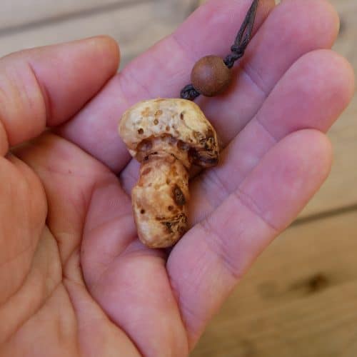 Pilz aus Baumperle