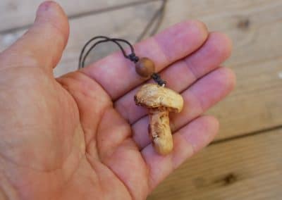 Pilz aus Baumperle