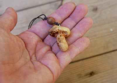 Pilz aus Baumperle