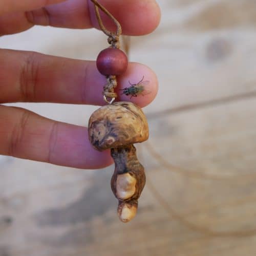 Pilz aus Baumperle