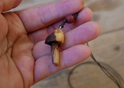 Pilz aus Baumperle