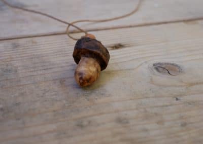 Pilz aus Baumperle