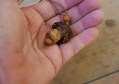 Pilz aus Baumperle