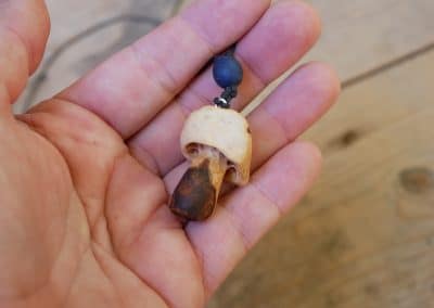 Pilz aus Baumperle