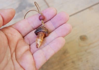 Pilz aus Baumperle