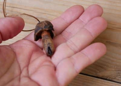 Pilz aus Baumperle