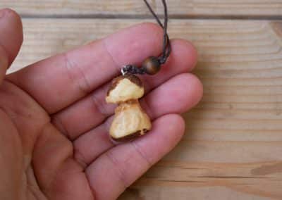 Pilz aus Baumperle