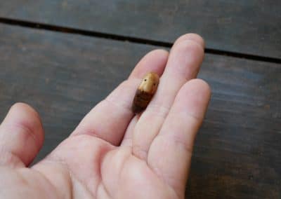 Ring aus Baumperle als Wichtel geschnitzt