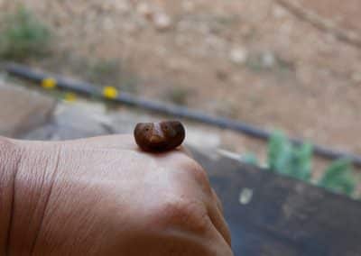 Ring aus Baumperle als Wichtel geschnitzt