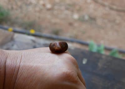 Ring aus Baumperle als Wichtel geschnitzt