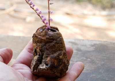 Vase aus Großer Baumperle für Trockenblumen