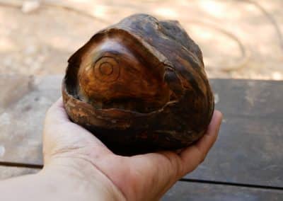 Riesige Baumperlen Skulptur Auge eingeschnitzt
