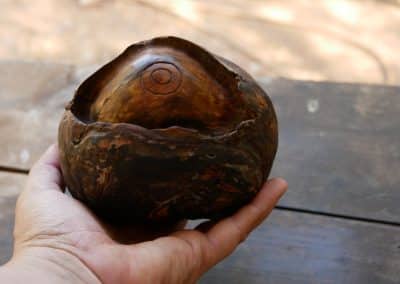 Riesige Baumperlen Skulptur Auge eingeschnitzt