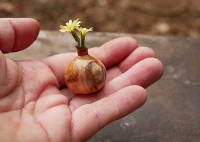 Kleine Mini Vase aus Baumperle gedrechselt
