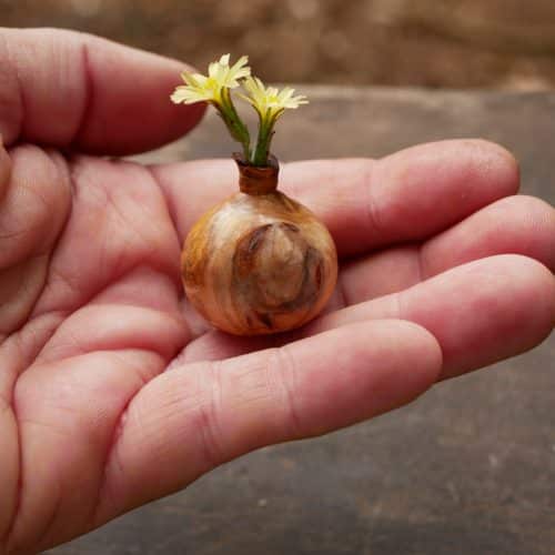 Kleine Mini Vase aus Baumperle gedrechselt